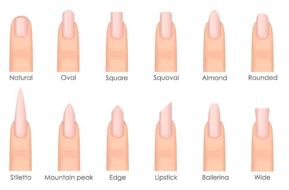 Nail Shapes A graphic showing the different shapes of nails.