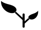 hover state for greetoes logo